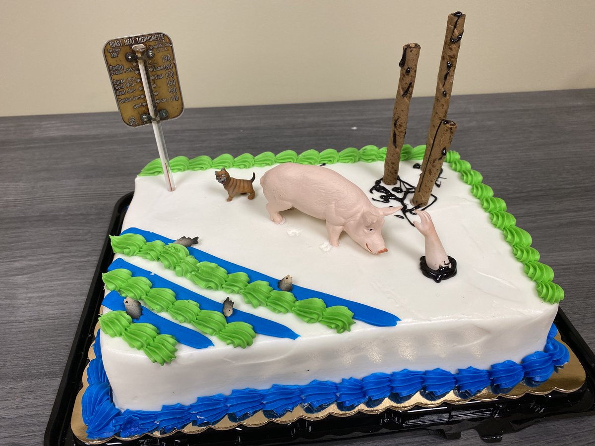 Tonight was the last class of the semester for my environmental journalism students at Wake Forest U. I decorated this cake w symbols of some enviro issues we learned about: hog farms, climate change, fish kills, air pollution from smokestacks. J375, you're dear to me.  <a href="/WFUEEJI/">WFU Environmental & Epistemic Justice Initiative</a>