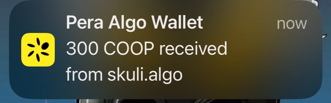oshiroroshi75's tweet photo. Just won $Coop from @SkuliFrens discord holders giveaway. Thanks @native_algo ๐ค๐
#BuySkuliFrens #BuyNative https://t.co/CAJQPTnzqx