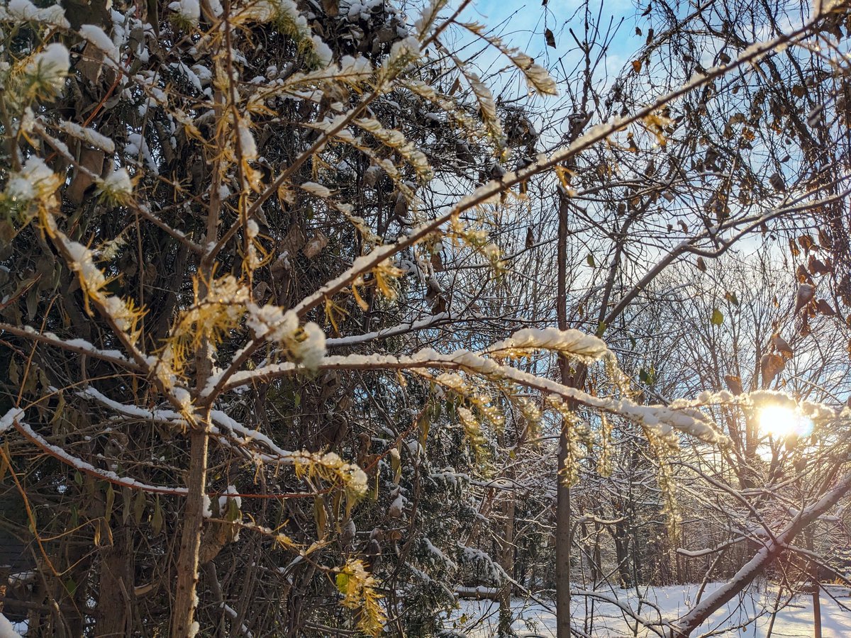 Forest Valley OEC (@forestvalleyoec) on Twitter photo Gearing up for a day in the snow can feel a bit overwhelming for kindergarten and primary classes, but the effort is worth it when you get to spend a day outside in this! #cameronPS <a href="/TOES_TDSB/">TOES_TDSB</a> Gearing up for a day in the snow can feel a bit overwhelming for kindergarten and primary classes, but the effort is worth it when you get to spend a day outside in this! #cameronPS <a href="/TOES_TDSB/">TOES_TDSB</a>