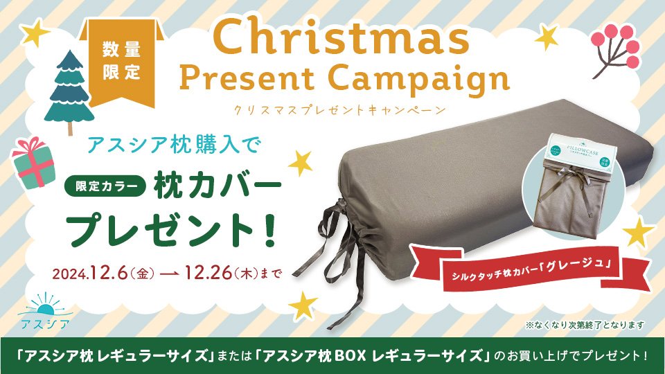 アスシアからのプレゼント🎁 レギュラーサイズのアスシア枕をお