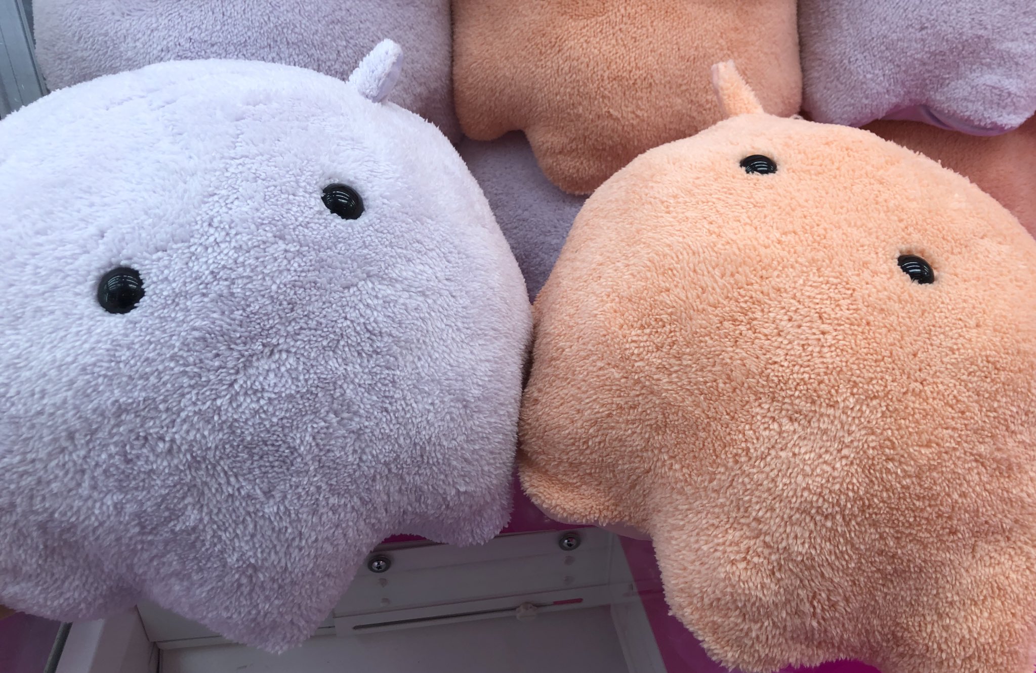 タイトー公式 on X: 