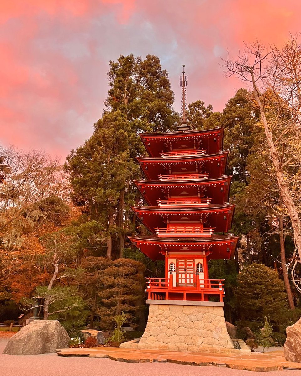 We were treated to beautiful a morning sky and a glowing pagoda earlier today in the Japanese Tea Garden. The ginkgo trees are also showering our winding paths with their golden leaves. Come enjoy it all and visit soon!

Plan your visit at gggp.org/japanese-tea-g…