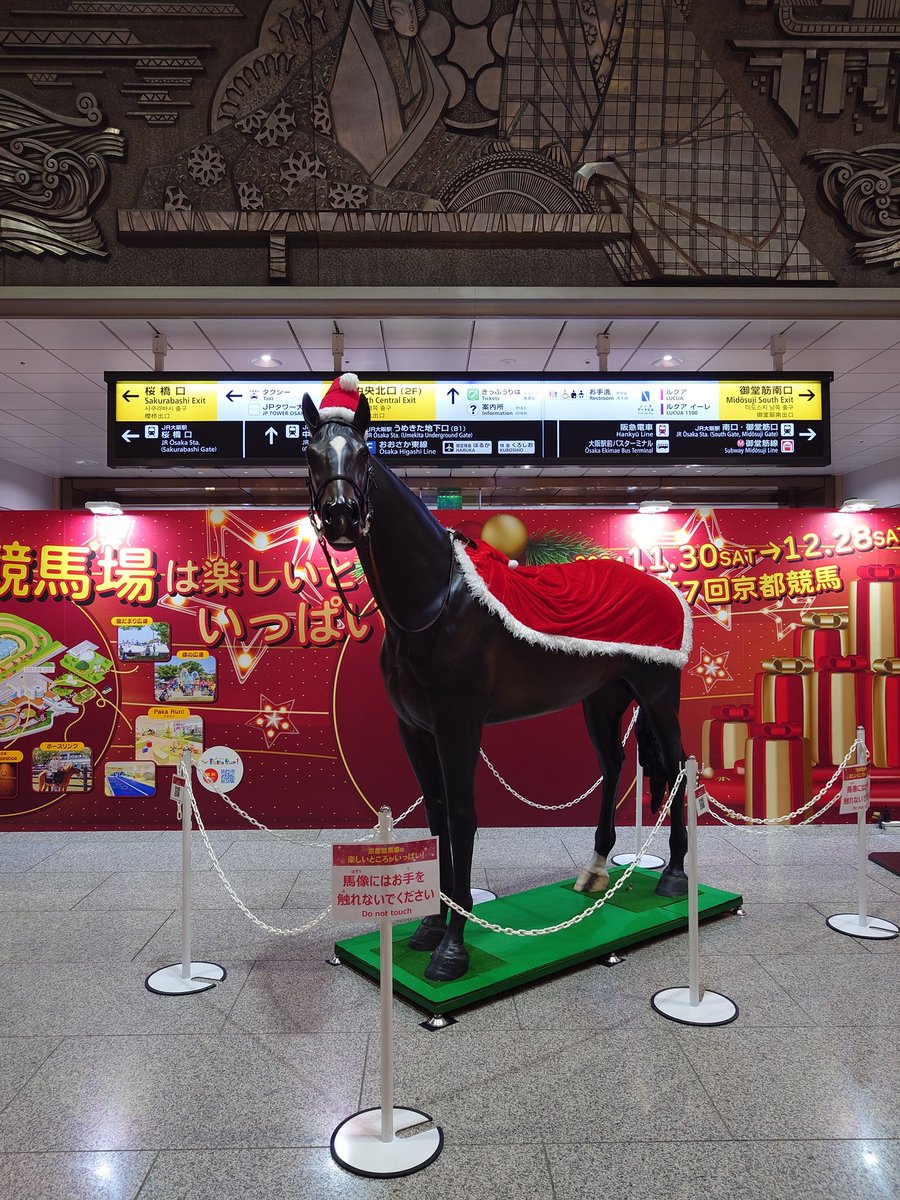 oriental_can's tweet photo. #京都競馬場に願いを https://t.co/0bFdCG65NM