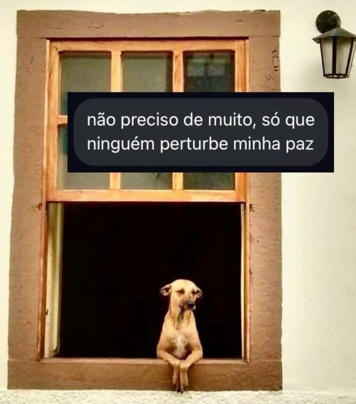 teu caos (@sobreteucaos) on Twitter photo 