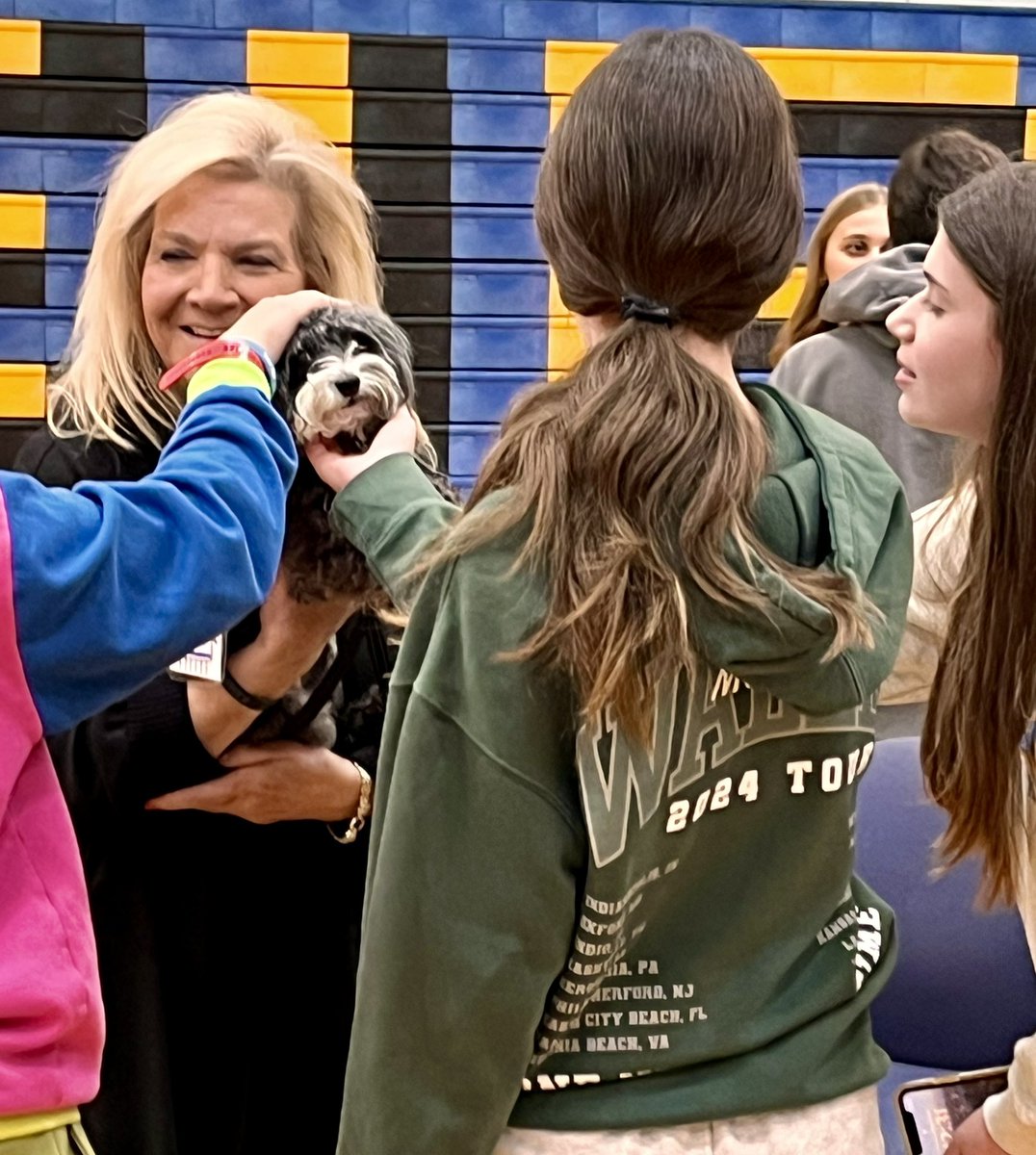 MadCounseling's tweet photo. Today was pet therapy day at MHS for the Sources of Strength What Helps Me campaign. The dogs gave as much love as they received. 
@MadeiraHSPrin 
@g_bloomstrom https://t.co/pH4mQVqsIZ