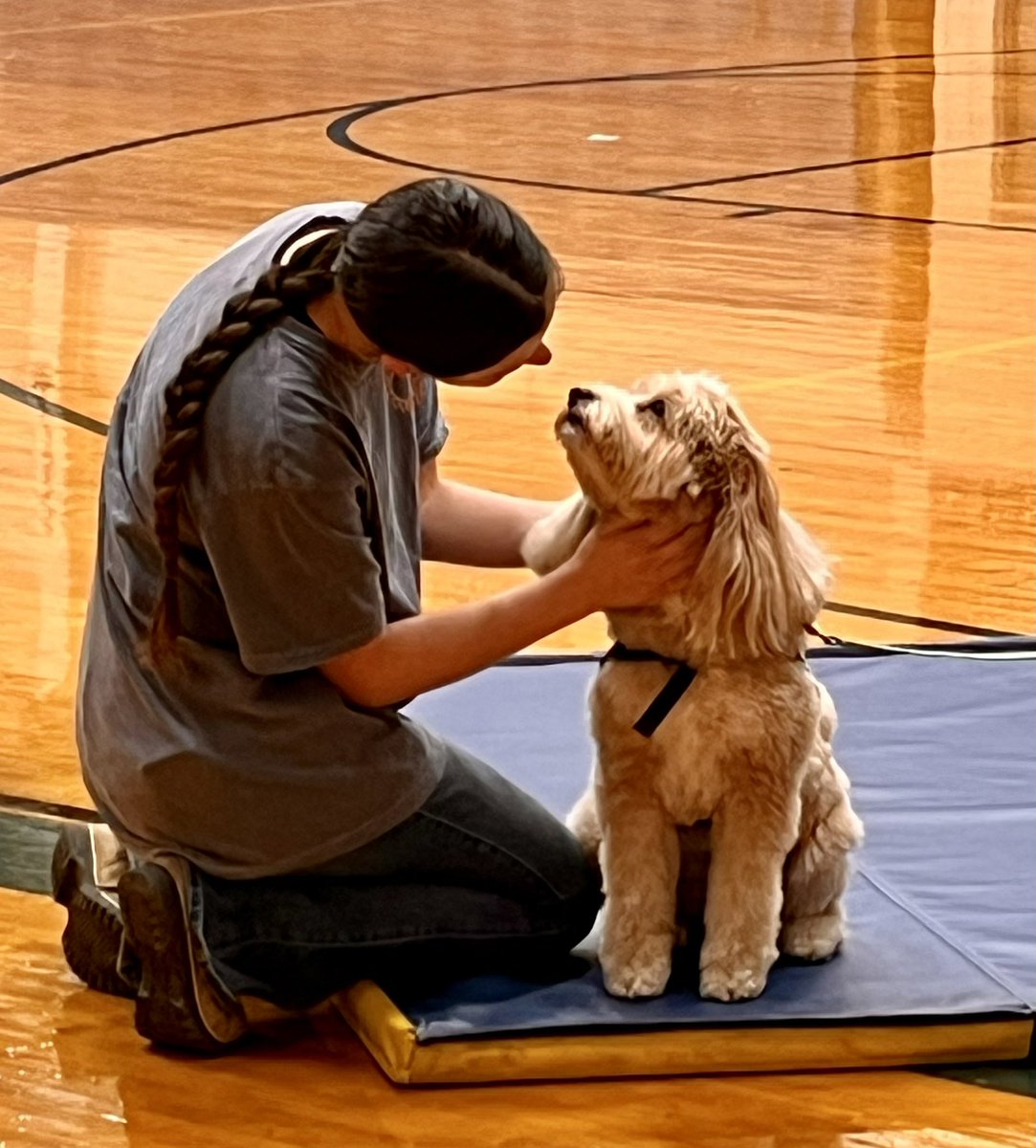 MadCounseling's tweet photo. Today was pet therapy day at MHS for the Sources of Strength What Helps Me campaign. The dogs gave as much love as they received. 
@MadeiraHSPrin 
@g_bloomstrom https://t.co/pH4mQVqsIZ