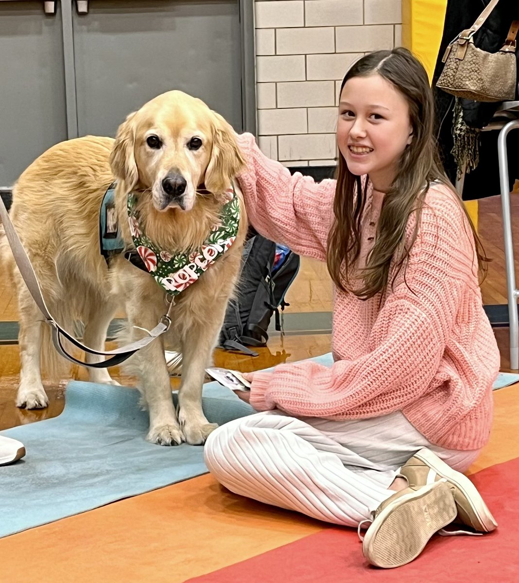 MadCounseling's tweet photo. Today was pet therapy day at MHS for the Sources of Strength What Helps Me campaign. The dogs gave as much love as they received. 
@MadeiraHSPrin 
@g_bloomstrom https://t.co/pH4mQVqsIZ