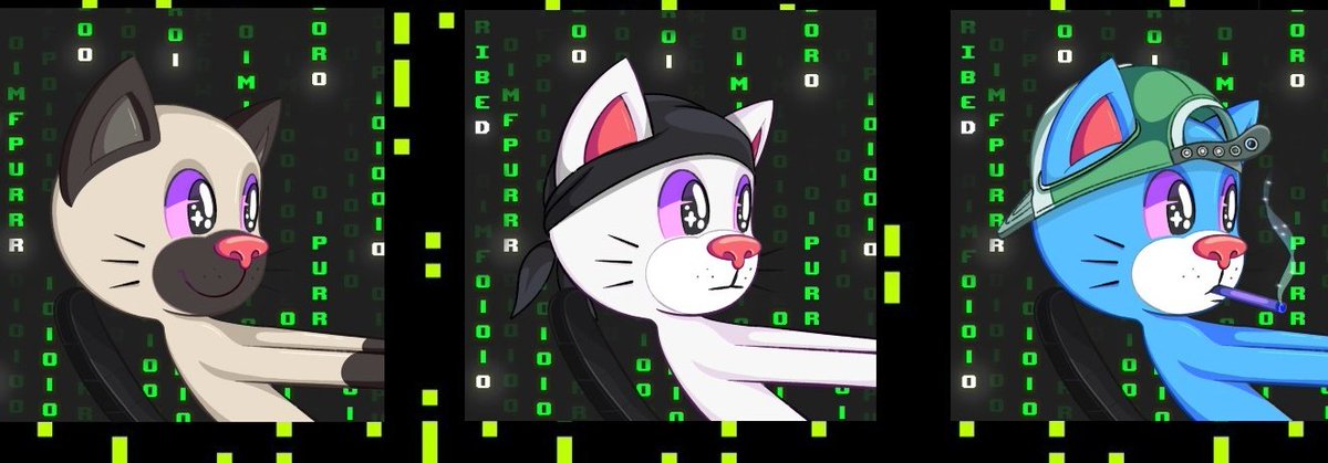 0xCaballer's tweet photo. @MLeeJr Megapurrs on Base $PURR 
#MatrixGang https://t.co/xWyOWZ33SY
