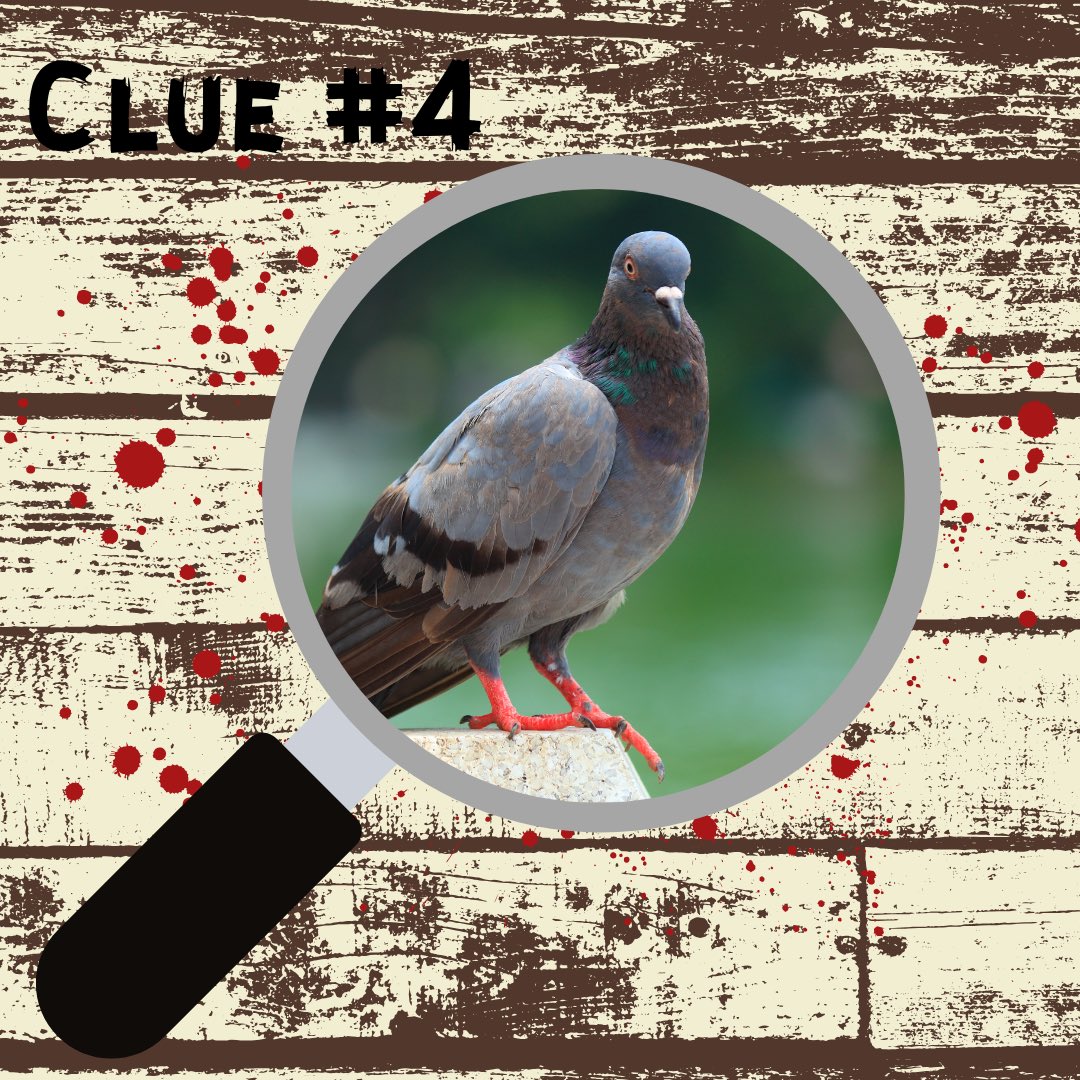ICFTMPodcast's tweet photo. Dropping 2 more clues to Mondays ALL NEW EPISODE! Aryn chose a foreign language horror film for this week. Be sure to drop your guess below for a chance for a shout-out and be sure to subscribe!

https://t.co/KkyFSlRkE8 https://t.co/5jFqU2qlJE