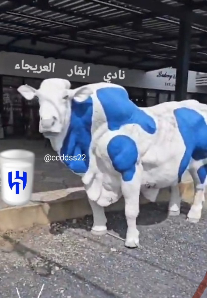 الاتحاد عمك tweet media