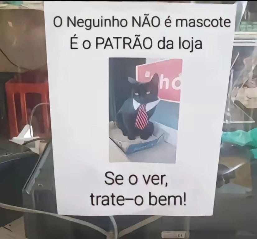 templaca's tweet photo. https://t.co/1Uwk2AnqWO