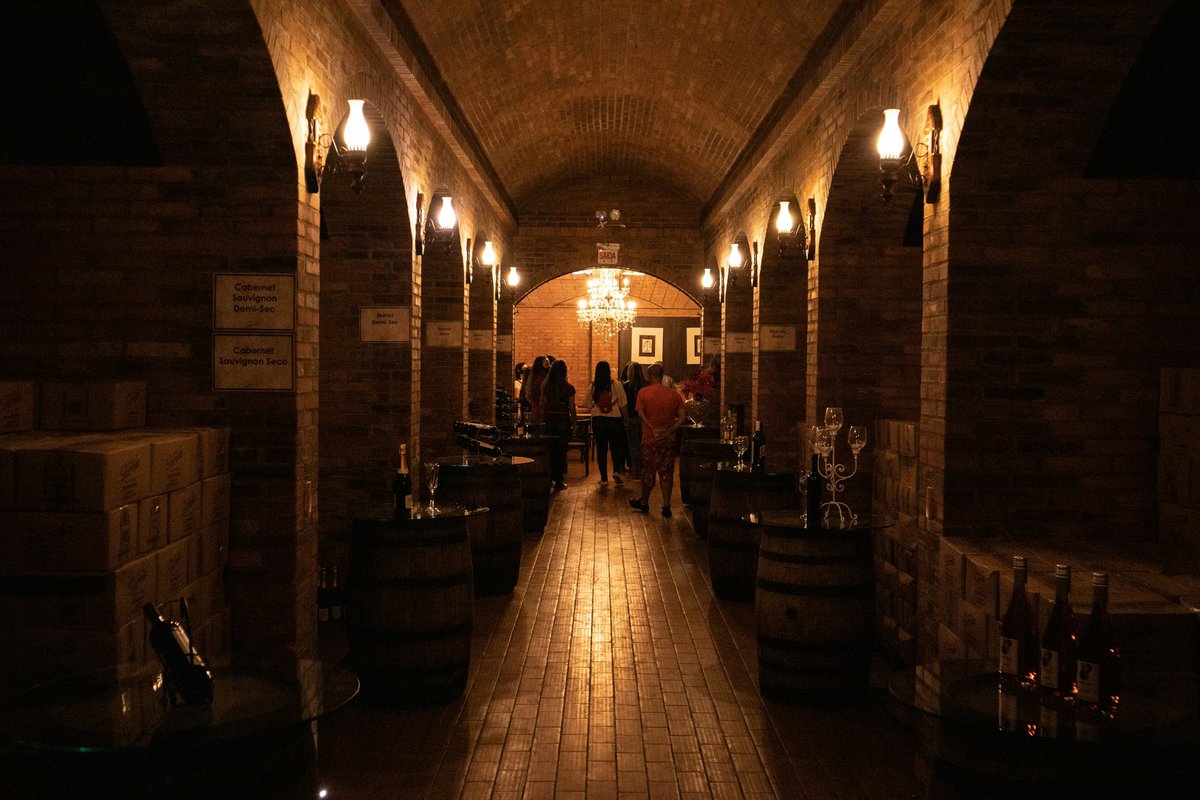 wherewhenwineco's tweet photo. Winter is the perfect time to explore the hidden warmth of a wine cave, where every bottle tells a story. Experience the season in a whole new way—where great wine and winter vibes meet.

Check out our list of wine caves nationwide at https://t.co/HerZiYou94 https://t.co/xcYxt9CKWg