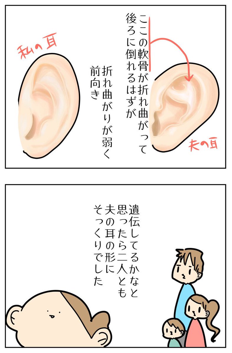 寒さで耳痛いって立ち耳あるあるだと思ってる 