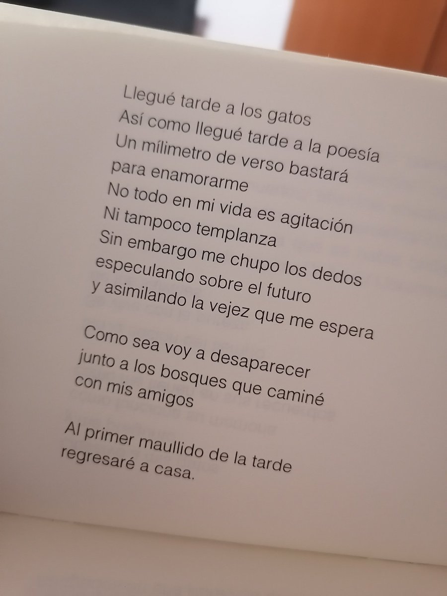 _JaimeHe's tweet photo. No puedo. 
De todos nosotros, ¿cómo tú?
¿Cómo tú, mi queridísimo Horacio?
¿Cómo tú, mi amado Warp? https://t.co/meZH7ElIrX