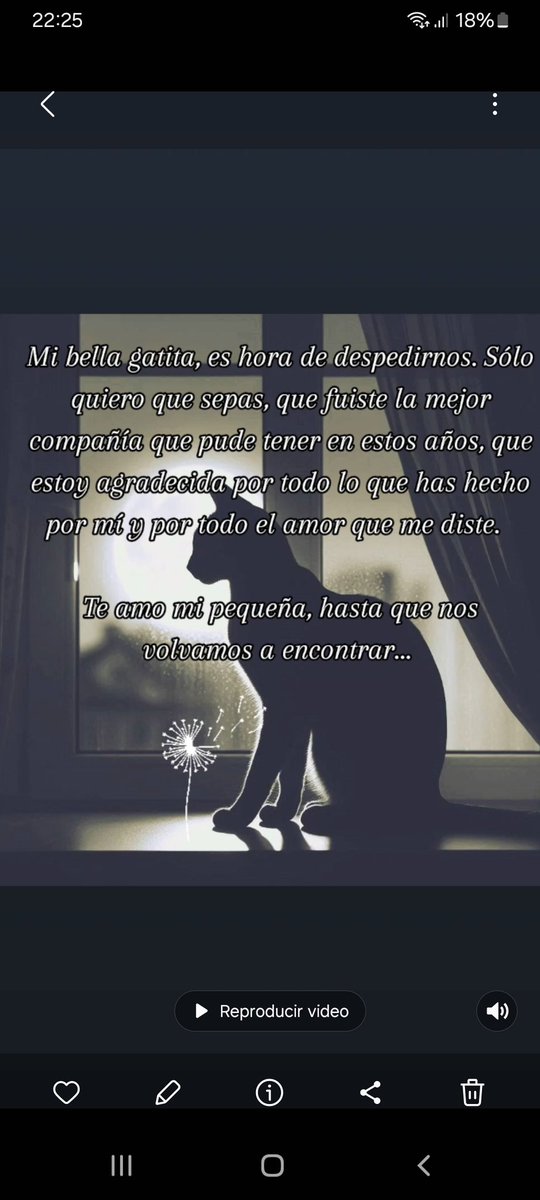 romselj's tweet photo. Duele... https://t.co/7LuAhJbULp
