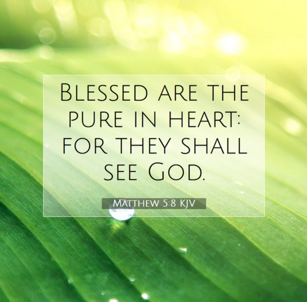 Melissa A. McLaughlin tweet media