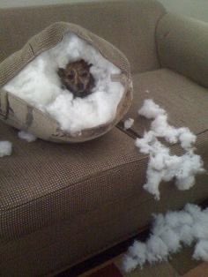 AgathaChocolats's tweet photo. In six words or fewer, write a story about this photo.
#sixwordstory #WritingCommmunity https://t.co/tHy026NKaq