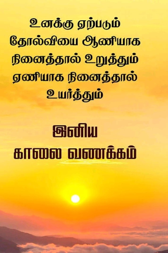 RKTAMILWINS's tweet photo. Good morning......... https://t.co/MwVx33UqYz