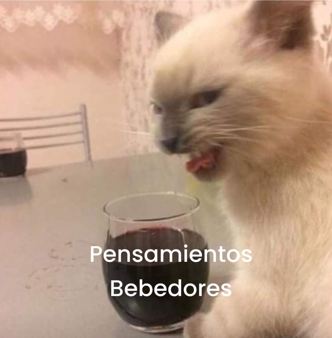 Nasty Poet (@nxstypxet) on Twitter photo 