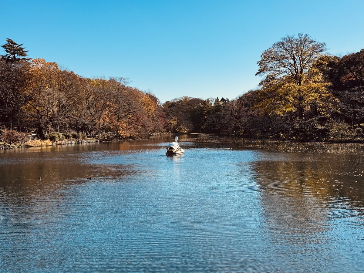 12月の井の頭公園も素敵でした🍁