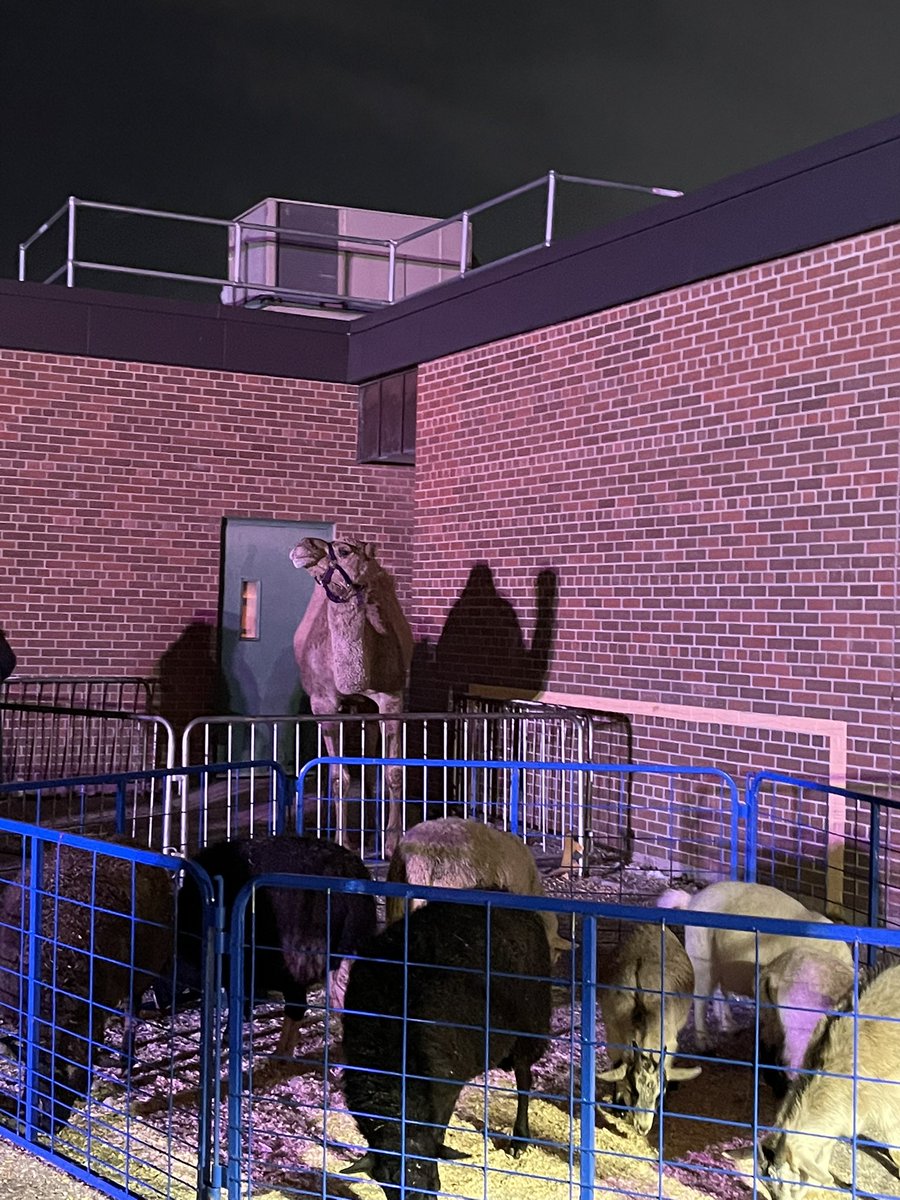 Wonderful living nativity tonight! 🎄❄️ <a href="/CNEWM_DPCDSB/">St. John Henry Newman CES</a>