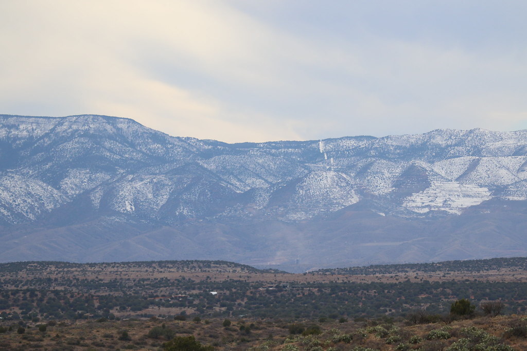 Mark Kamichoff tweet media