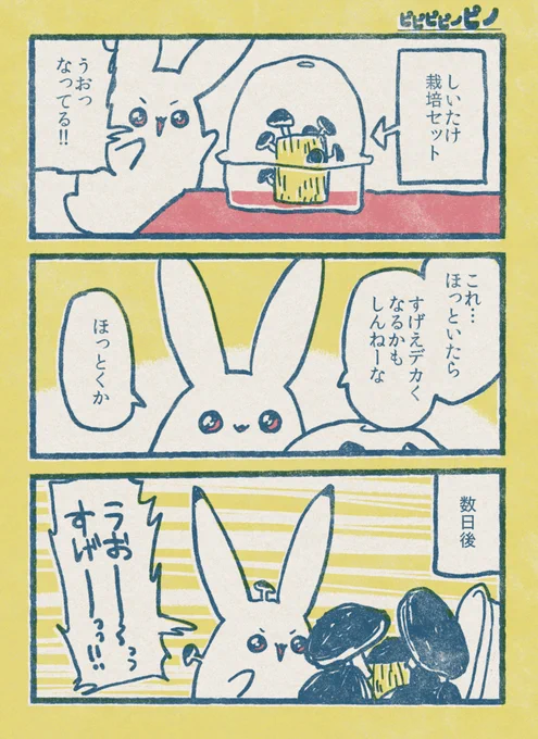 🍄 #ピピピピノピノ 

まとめ❢→https://t.co/eKSKfkLo3r
キャラサイの投票❢❢→https://t.co/LAMS4CNtCN (1位だとプライズ化しますゾ～～❢❢) 