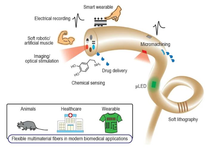 Review: Flexible multimaterial fibers in modern biomedical applications
doi.org/10.1093/nsr/nw…
Lead author: Xiaoting Jia <a href="/xiaoting_jia/">Xiaoting Jia</a>
<a href="/OxUniPress/">Oxford University Press</a> <a href="/Natl_Sci_Rev/">NSR_Journal</a> <a href="/SciencNews/">Science News</a> <a href="/isciverse/">Top Science</a> <a href="/physorg_com/">Phys.org</a>