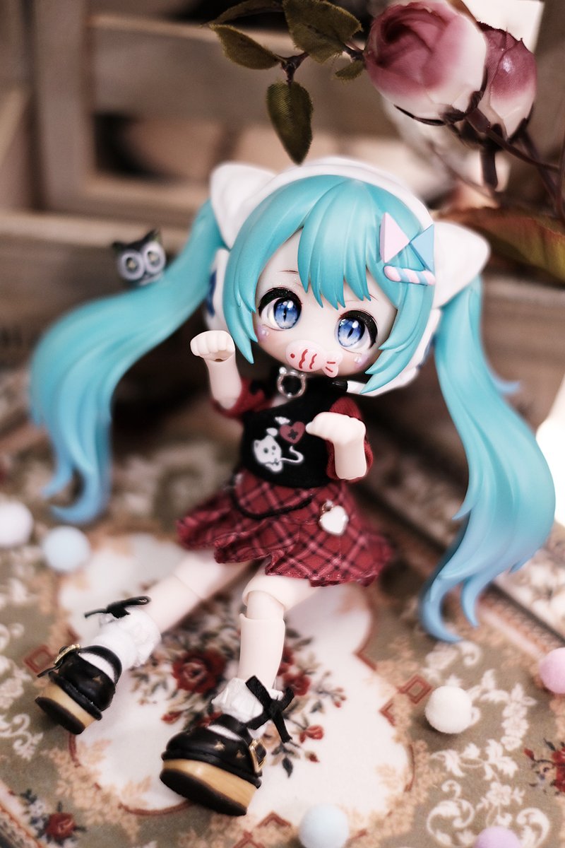 猫の日🐱