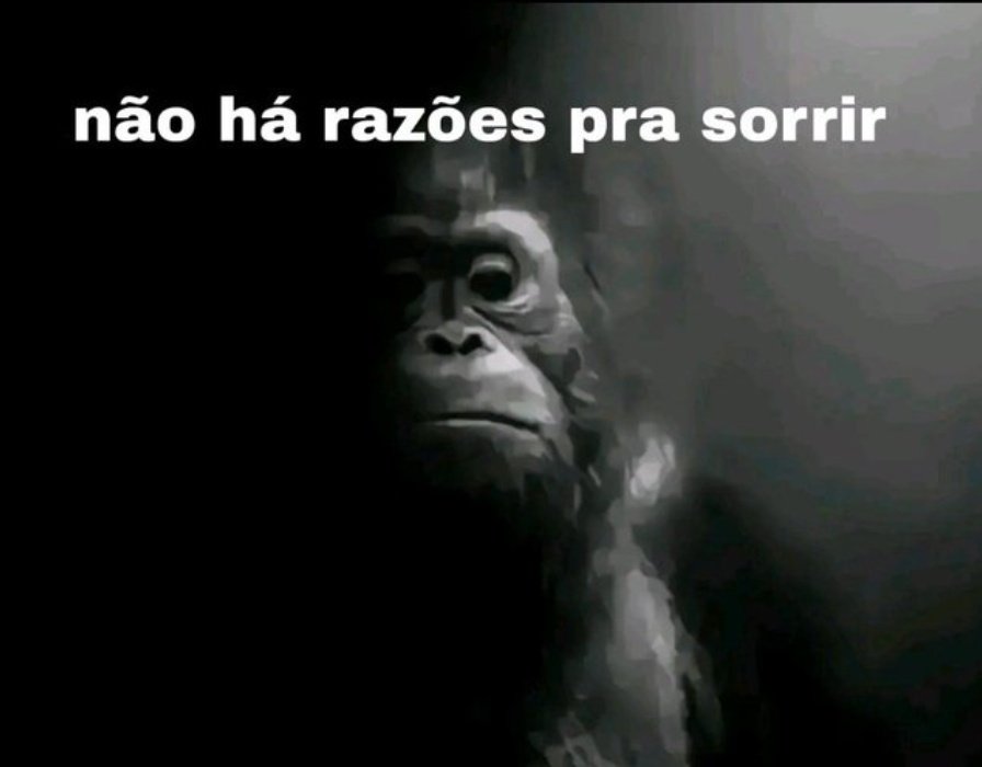 Sixers da Bahia tweet media