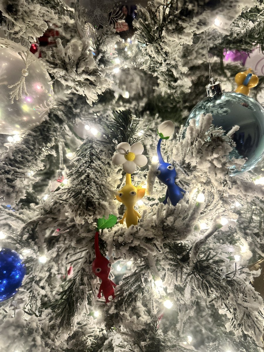 photo boi 📸📽 🇵🇸 𓃠 tweet media