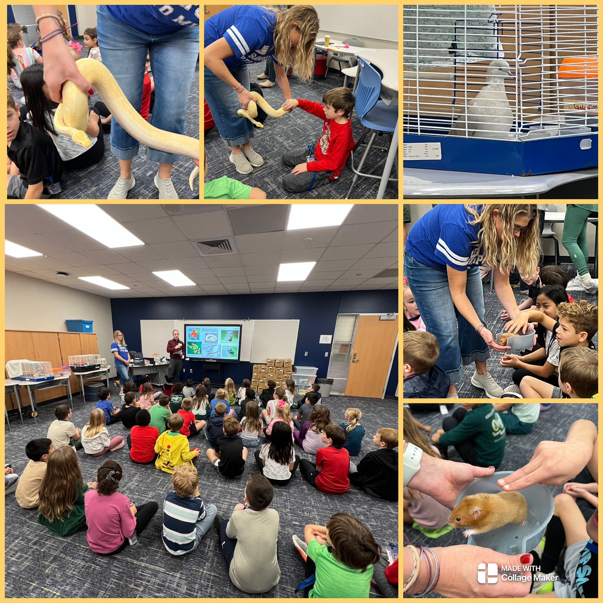 Kristy Michel tweet media