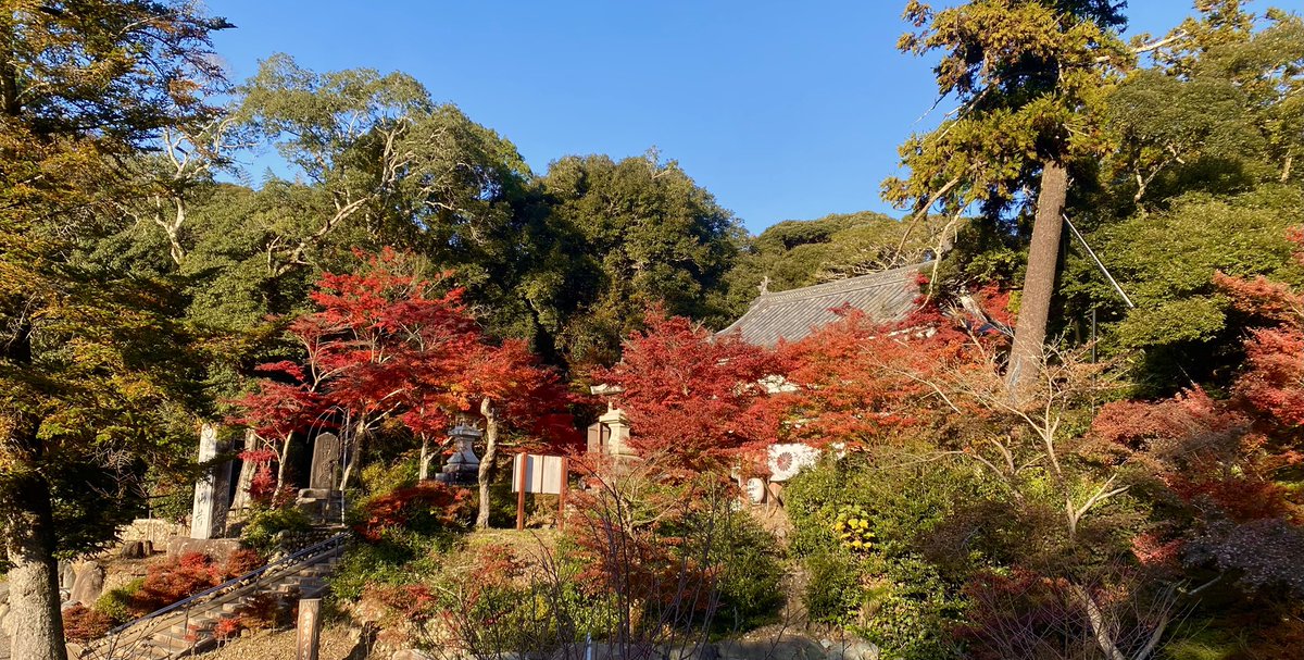 本日の紅葉状況
薬師堂周辺…5分
滝堂周辺…3分
宝生殿前…見頃
参道…3分
栄西禅師前…見頃
山門前…絶景！
放生池周辺…3分
駐車場周辺…見頃
＃油山寺 ＃油山寺焔上 　＃油山寺紅葉 　＃紅葉状況 ＃遠州三山  ＃袋井市 ＃しぞーカメラ部  　＃浜松カメラ部 　＃アットエスカメラ部