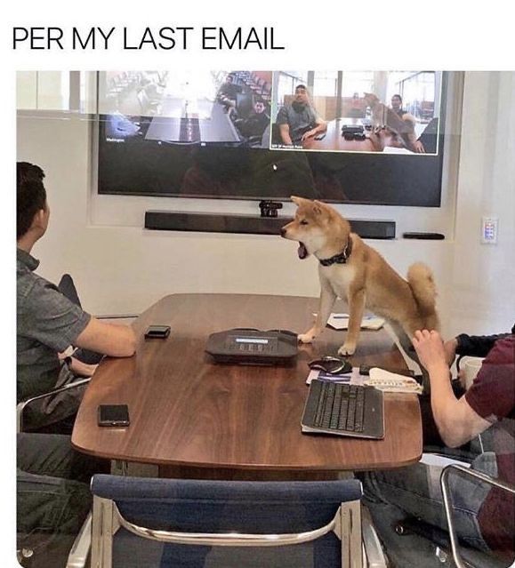 GeFXDFhWAAARmyo