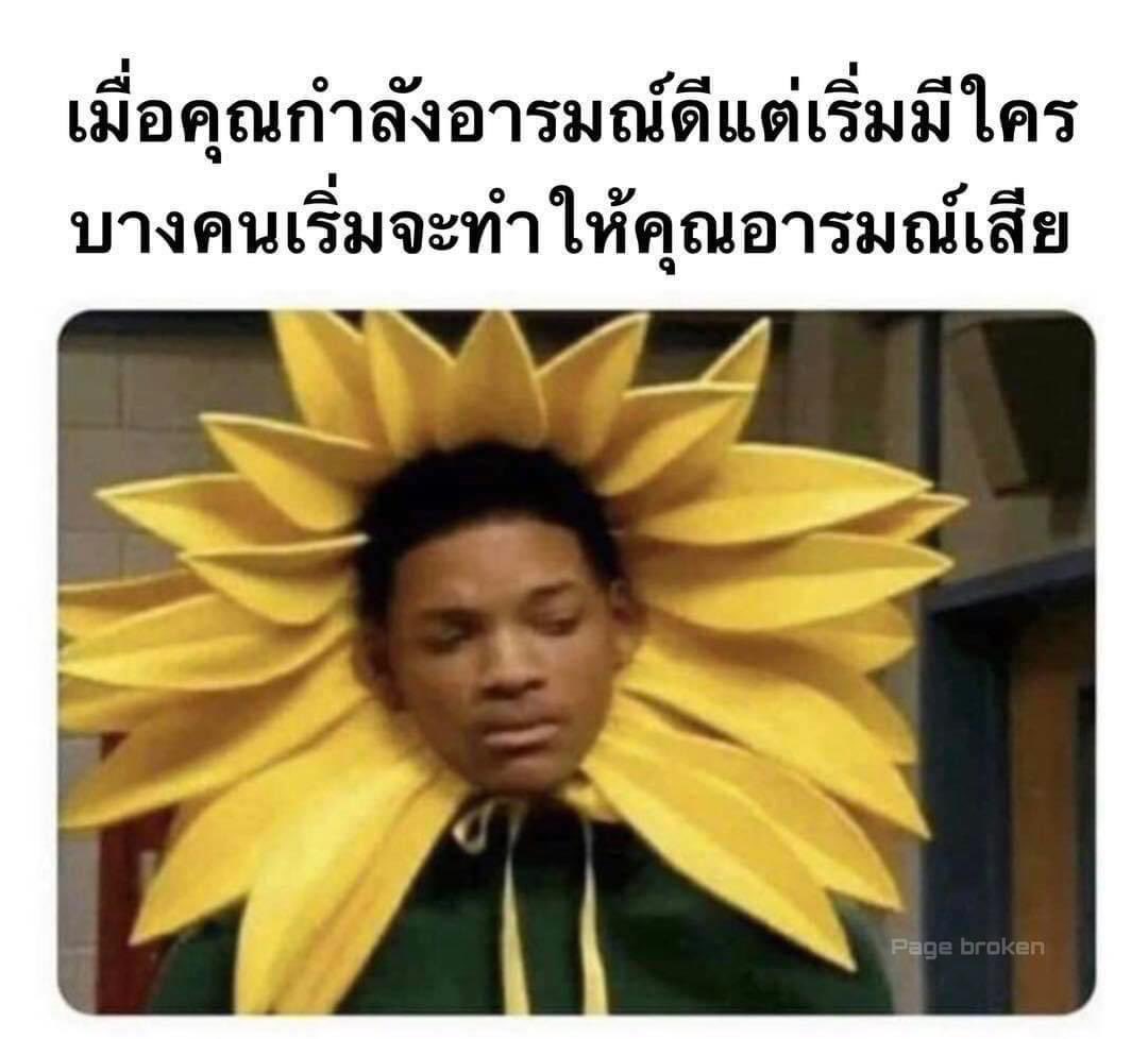 pun_first's tweet photo. ขอบคุณที่เข้ามาเปลี่ยนวันที่ดีให้หุบยิ้มได้ 
#Lazada1212xSkyNani https://t.co/IjYc7OOFox