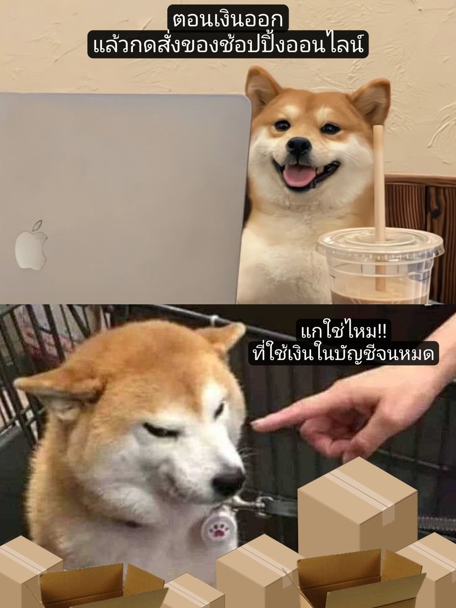 fatkidzblue's tweet photo. อาการคุ้นๆ 🤣 

ตอนเงินออก : กดสั่งของในตระกร้าที่รอ อันนี้ก็โปรดี อันนี้ก็มีโค้ดส่วนลด

ตอนเงินหมด : แกใช่ไหม!! แกนี่เองที่ใช้เงินจนหมด (ไม่สำนึกเดือนหน้าช้อปใหม่)

#Lazada1212xSkyNani https://t.co/fGXWjV4QWg