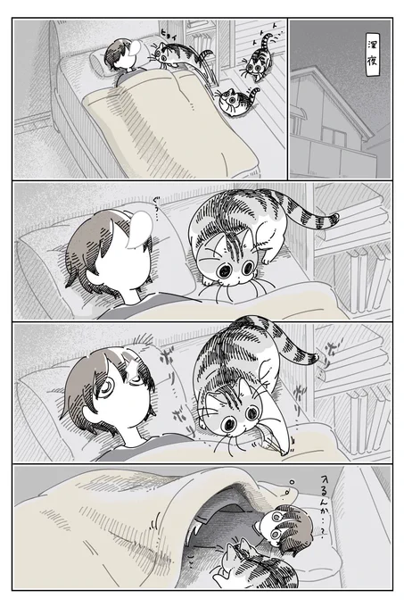 布団に入れてほしいネコ
https://t.co/TXnmgI1zxG 