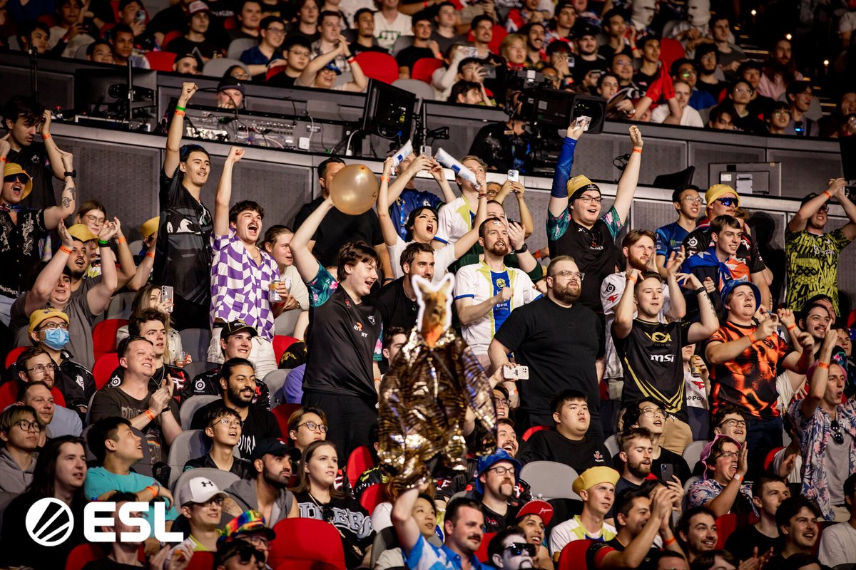 ESLAustralia's tweet photo. "Row F isn't a thing, it's a movement" 

This one goes out to Row F 💙 👞 https://t.co/1ZV3JrKvTg
