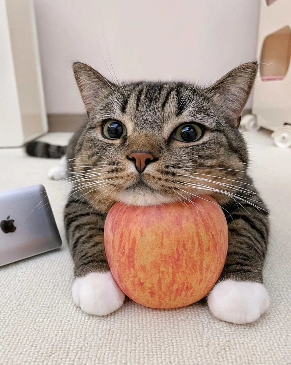 今日のかわいい写真です!🥰