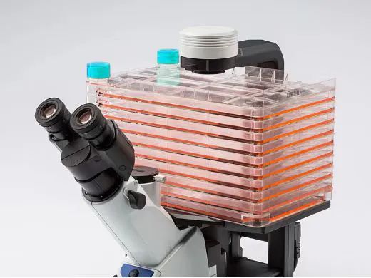 NESTBiotechnol1's tweet image. 🌟 Exciting news from Nest! 🌟
We’ll be at #ASCB2024 in #SanDiego, CA, from December 14–17.
Come visit us at Booth 700 to see our innovative products for #CellBiology, #Bioprocessing, and beyond!

💬 Comment below if you&apos;re attending, and let’s meet!
#ScientificInnovation