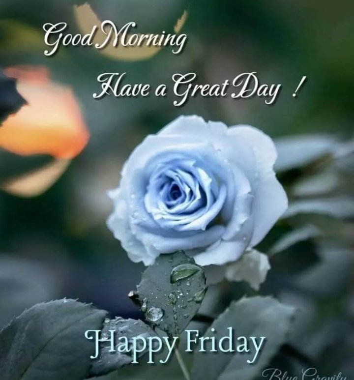 Good morning dear friend..
Have u nice and beautiful day..