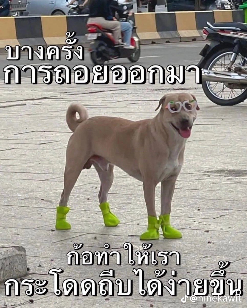 pun_first's tweet photo. เปลี่ยนเพื่อชีวิตที่ดีกว่า #Lazada1212xSkyNani https://t.co/SsnR7aw0n0