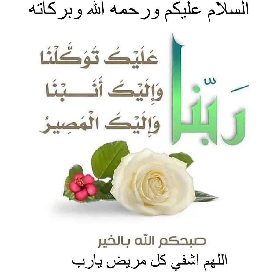 abdulrahamn12's tweet photo. https://t.co/8G5qY4UdZy