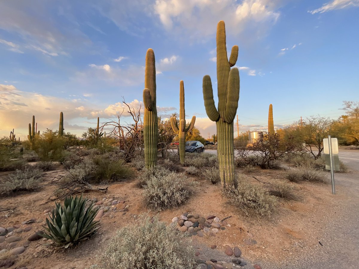 tbreadnwater's tweet photo. Tucson Audubon Society has a new name for the group.  It’s now Tucson Bird Alliance. John James Audubon was a respected artist and naturalist in the 1800s, but he also owned and sold enslaved people. Leaders wanted a name change. 
@azpublicmedia @tucsonaudubon @audubonsociety https://t.co/vBZhWFkXSW