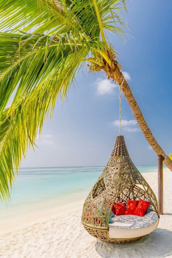 TheCherStore's tweet photo. Good morning 🌹
It's the weekend!
Relax, Re-energise, Re- Strategize, and refresh your entire mind, body and soul❣️ https://t.co/ECl5nm4xGX