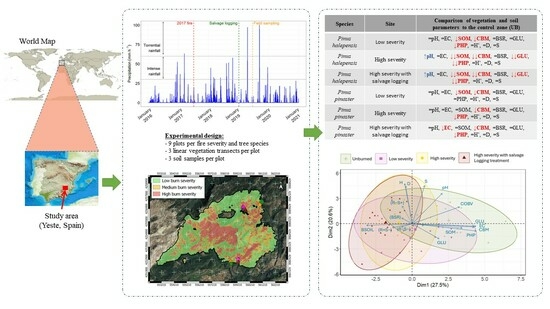 Fire_MDPI's tweet photo. #firemdpi
🔥Burn Severity and Postfire Salvage Logging Effects on Vegetation and Soil System in a Short-Term Period in Mediterranean Pine Forests

👉https://t.co/PrjOw7RGHO

#forestmanagement; #salvagelogging; #soils; #vegetation; #wildfires; #postfire https://t.co/q3Q6xUW7dk