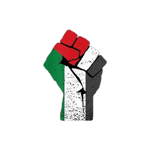 logodesigner_ai's tweet photo. @Al_Noman24 @EyeonPalestine @Palestine_UN @palestine https://t.co/Thv7LtfRgr