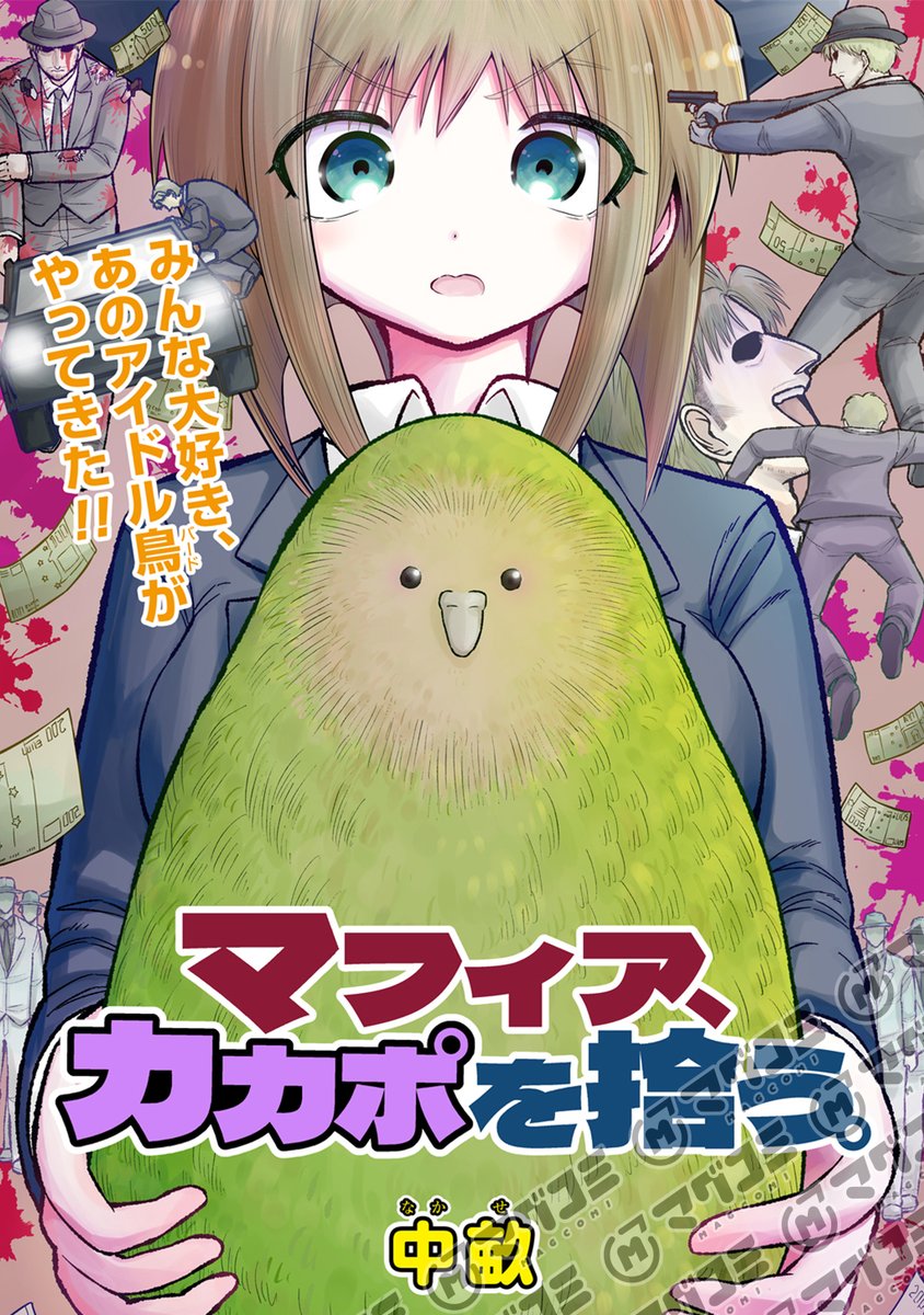 MAGCOMI_'s tweet photo. 【12/6更新】
マフィア、カカポを拾う。／中畝
特別読切
https://t.co/qApdx8Idni https://t.co/plmWLhsOKX