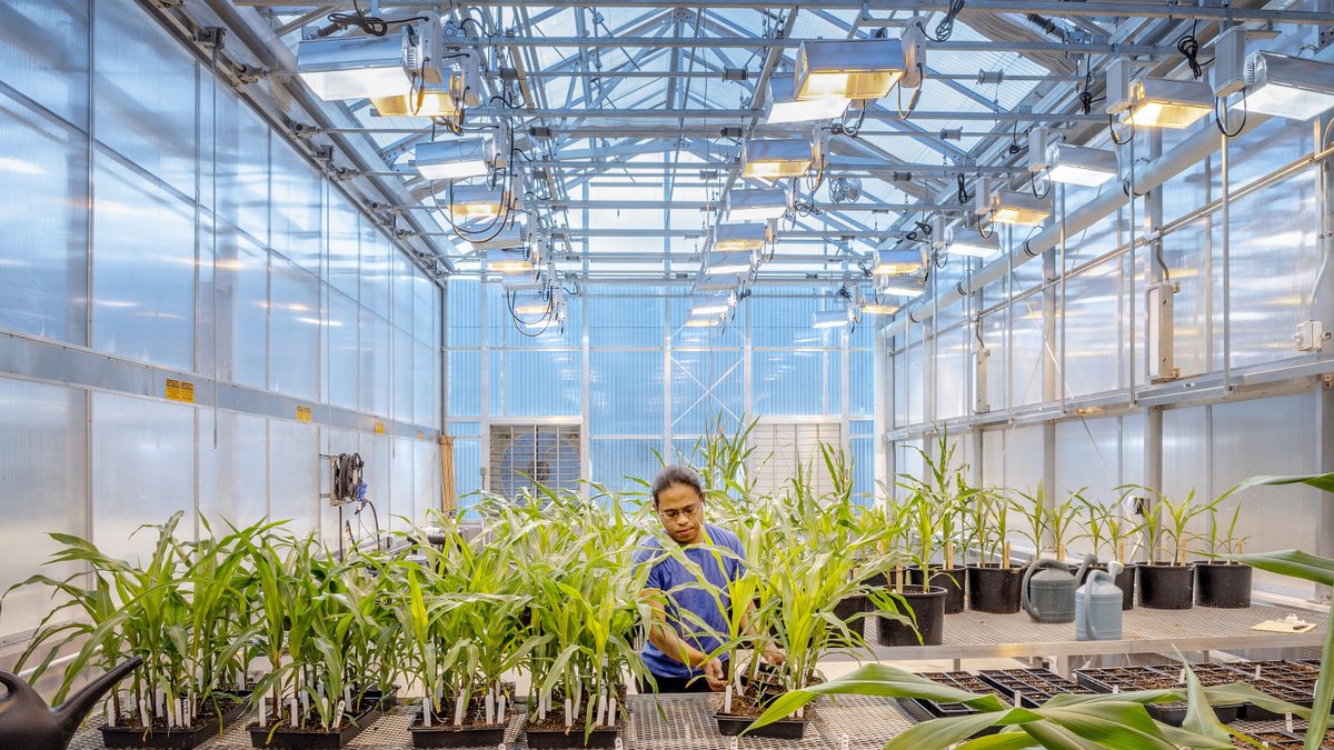 As climate change accelerates and global food insecurity grows, the need for innovative agricultural education and research facilities has never been greater.

At CannonDesign, we’re meeting this challenge head-on. Through sustainable materials, cutting-edge technology, and…