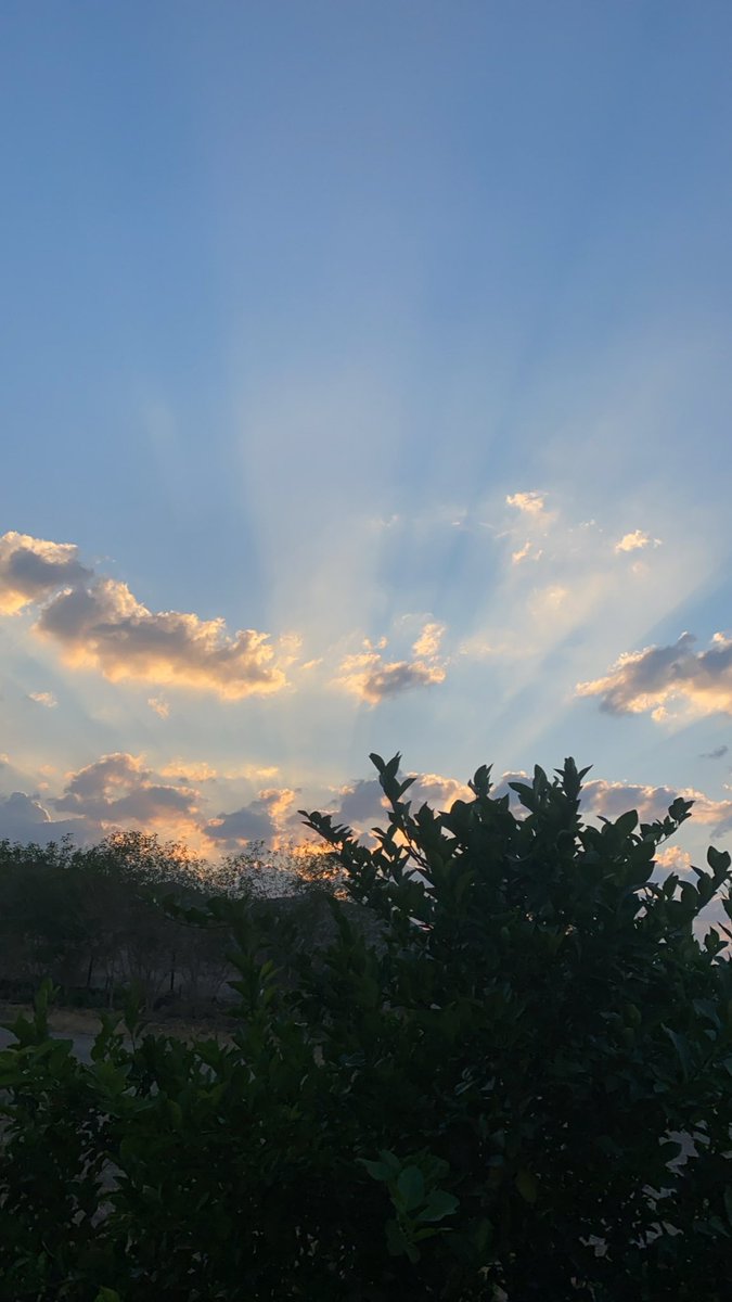 اسعد الله جميع اوقاتكم بكل خير